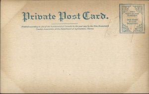 St. John NB Chipman House Embossed Canadian Flag c1900 Private Postcard