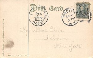 Carnegie Library Kingston, New York Postcard