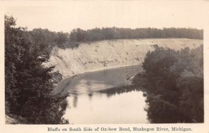 Muskegon River Michigan Ox Bow Bend Bluffs Scenic View Real Photo PC AA71674