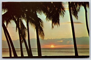 Hawaii~Sunset Over The Pacific Thru The Palms~Vintage Postcard