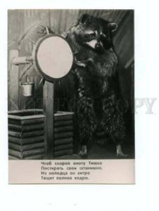 167230 DUROV CIRCUS Raccoon near Well old PHOTO Russian Card