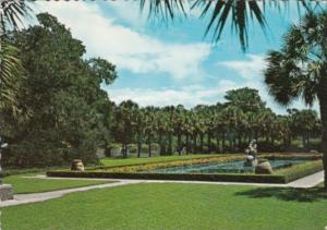 South Carolina Murrells Inlet Palmetto Garden At Brookgreen Gardens