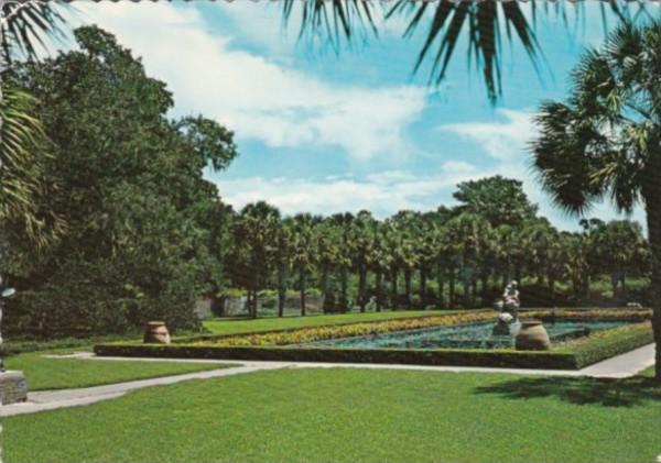 South Carolina Murrells Inlet Palmetto Garden At Brookgreen Gardens