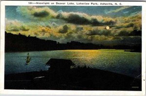 Postcard WATER SCENE Asheville North Carolina NC AM1560