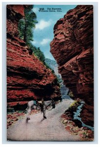 C.1910 The Narrows, Williams Canon Colorado. Postcard F103E