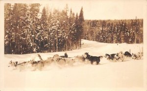 RPPC DOG SLED ALASKA REAL PHOTO POSTCARD (c. 1930s)