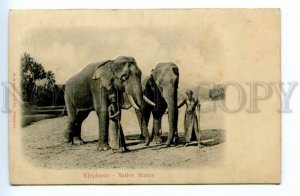 494543 Singapore elephants with trainers embossed Vintage postcard