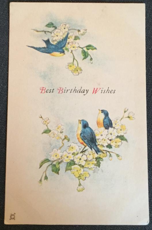 Postcard Unused “Best Birthday Wishes” Birds/Flowers LB