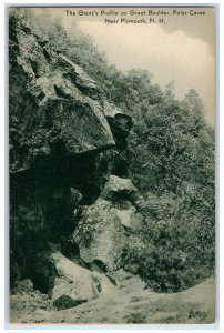 c1950 Giant's Profile Great Boulder Polar Caves Rock Forest Plymouth NH Postcard