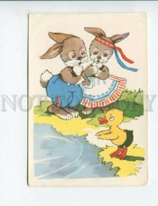 3142985 Dressed RABBITS & Duck by VALJAL old colorful PC