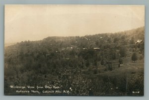 CATSKILL MTS NY BIRDS EYE VIEW FROM STAR ROCK ANTIQUE REAL PHOTO POSTCARD RPPC