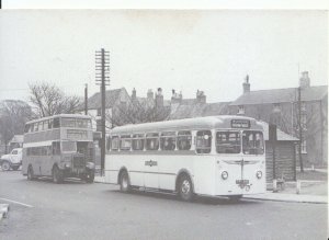 Transportation Postcard - 1956 Leyland Tiger Cub 'Wilkinsons' & K6A - 17810A