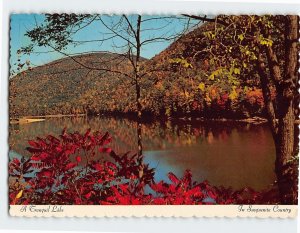 Postcard A Tropical Lake in Susquenita Country