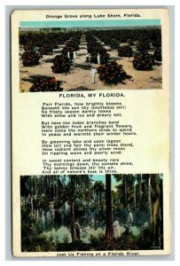 Vintage 1920's Postcard Orange Grove Lake Shore River Fishing Florida State Song