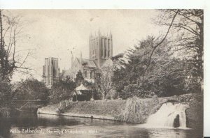 Somerset Postcard - Wells Cathedral - Showing St Andrews Well - Ref TZ89