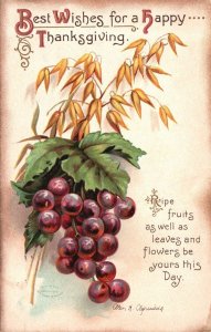 Vintage Postcard 1912 Best Wishes for a happy Thanksgiving Ripe Fruits Greetings