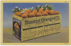US Sunkist Oranges from California. Mint Card with #804 affixed.