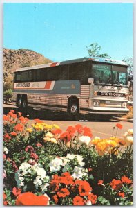 Vintage Greyhound Americruiser 2 Bus Postcard by PlastiChrome
