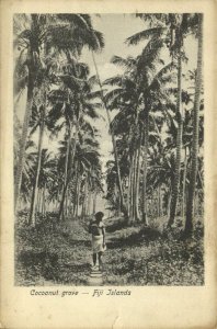 fiji islands, Cocoanut Grove, Native Male (1899)