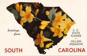 Greetings From South Carolina - Map and State Flower Yellow Jessamine