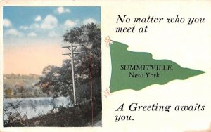 Greetings From Summitville, New York Postcard