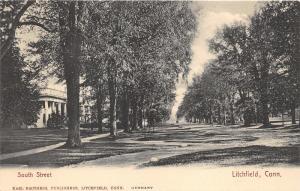 Litchfield Connecticut~South Street Scene~Tall Trees & Houses~c1905 Karl Bros PC