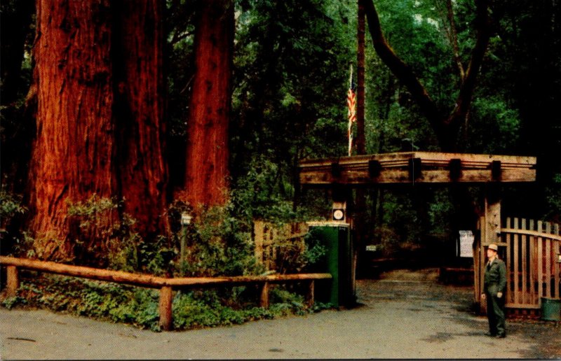 California Santa Cruz County Big Trees Park The Gateway