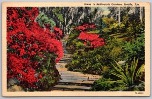 Vtg Mobile Alabama AL Bellingrath Gardens Azaleas Path Stairs 1930s Postcard