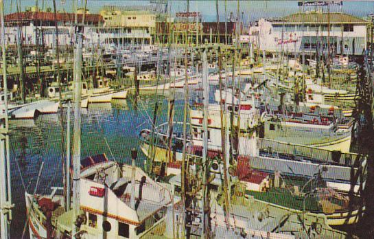 California San Francisco Fishing Fleet