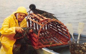 Provincetown Fisherman with prize of his catch Fish / Sea Mammals Unused 