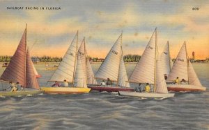 Sailboat Racing in FL, USA Florida  