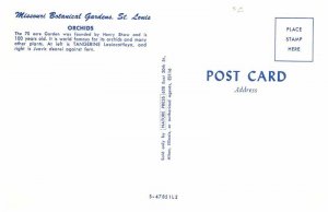 Postcard GARDEN SCENE St. Louis Missouri MO AU5902