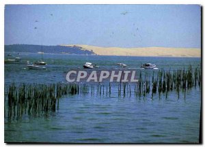 Modern Postcard Images of France Shelf Aquiaine Bay of Arcachon Domineee the ...