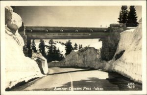 Mount Rainier National Park Chinook Pass Ellis Real Photo Postcard