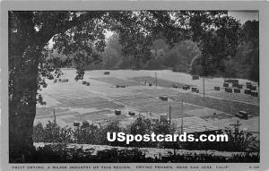 Fruit Drying, Prunes San Jose CA Unused