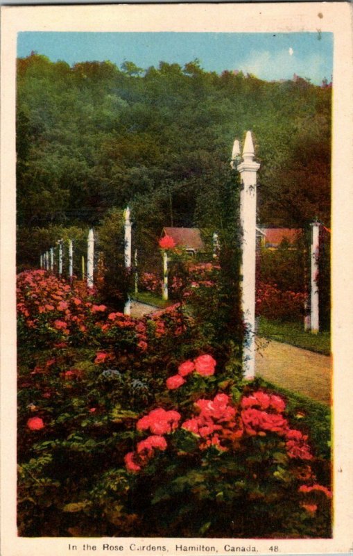 Rose Garden Hamilton Canada Vintage Postcard Standard View Card 