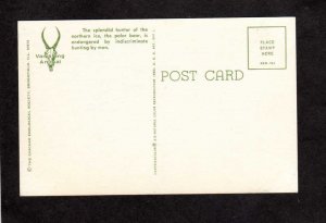 Vanishing Animals Animal Postcard Polar Bears Postcard