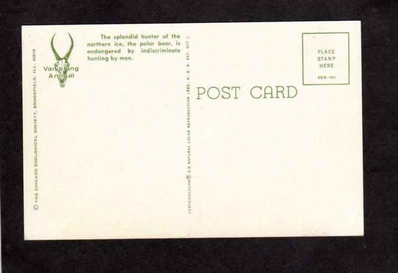 Vanishing Animals Animal Postcard Polar Bears Postcard