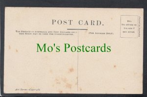 Birds Postcard - Lyre Birds SW4655