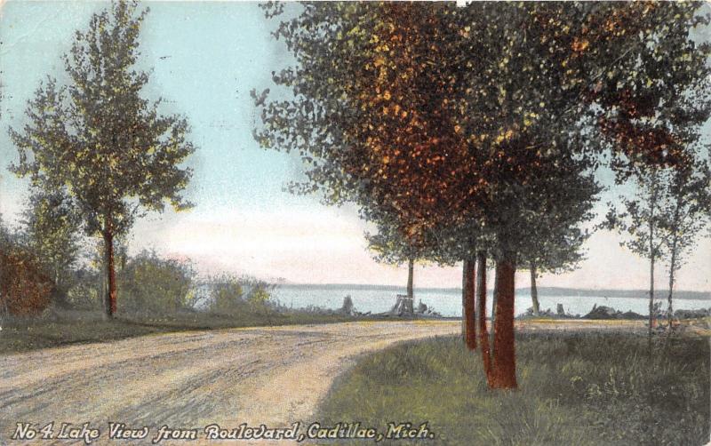 Cadillac Michigan~Lake View from Boulevard~Path Along Lake~1911 Postcard