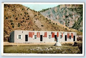 New Mexico Postcard A Mexican Home Mountains Scenic View 1910 Antique Trees