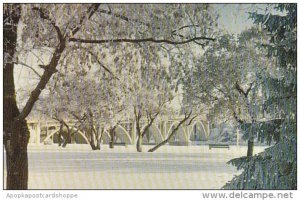 Canada Winter Scene Saskatoon Saskatchewan