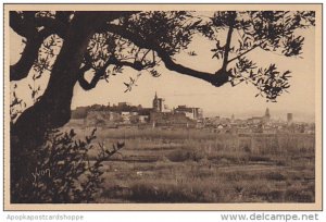 France Avignon La Ville vue a travers les Oliviers