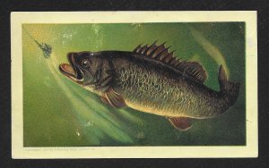 VICTORIAN TRADE CARD Arbuckle Coffee 'Fish' c1889