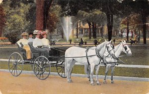 Kalamazoo Kind, The Lull Carriage Co Horse Drawn Unused 