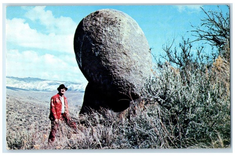 1977 Easter Egg Rock Cactus Pete's Horseshu Casinos Jackpot Nevada NV Postcard
