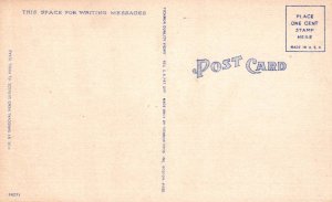 Four Horsemen Cactus