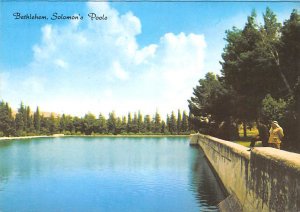 Solomon's Pool Bethlehem Unused 