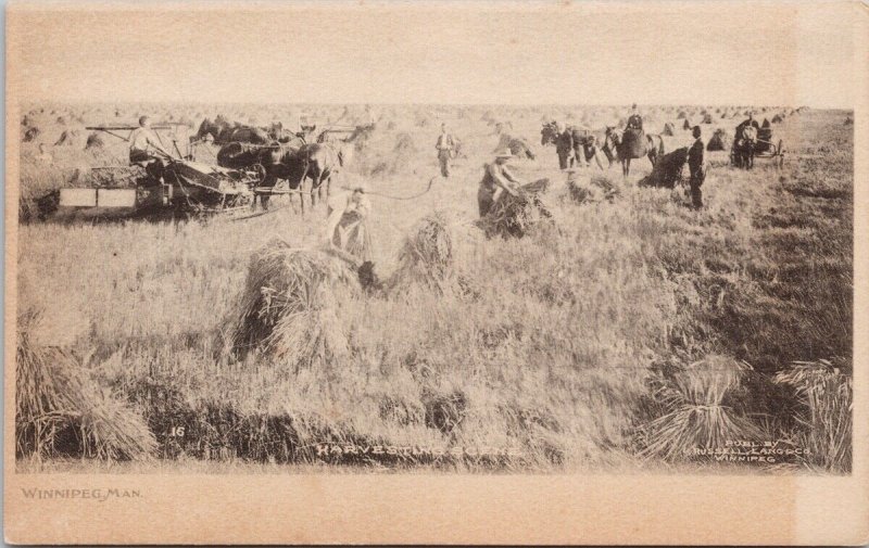 Harvest Scene Winnipeg MB from E.A. Windross 1906 Russell Lang Co Postcard H36