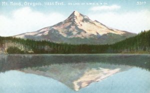 Vintage Postcard Mount Hood Mountain Reflection Oregon OR